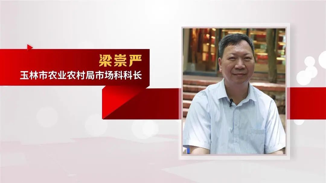 农村电商营销策划方案_农产品电商推广方案_农村电商宣传推广活动