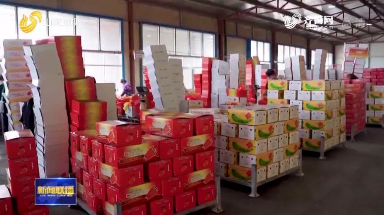 山东省农产品出口额_山东农产品出口国家_山东省农产品出口总额