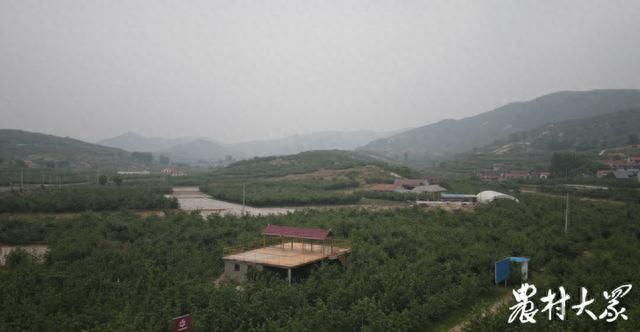 山东省农产品出口贸易_山东省农产品出口总额_山东省农产品出口额