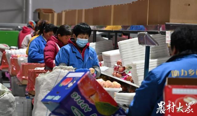 山东省农产品出口额_山东省农产品出口贸易_山东省农产品出口总额