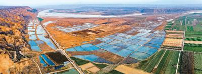 农产品地理标志查询_地理标志农产品是什么意思_全国地理标识农产品信息查询网