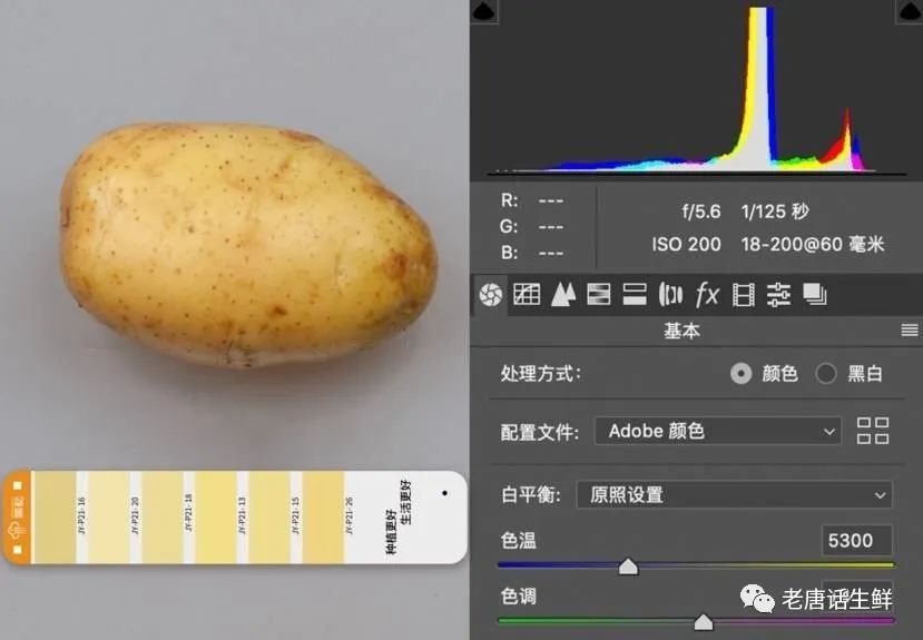 农产品标准化包含哪四个方面_农产品标准_农产品标准化