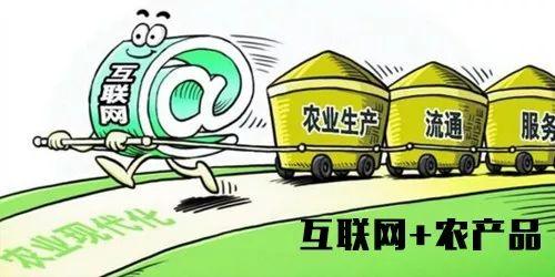 农村电子商务农产品_商务农电子产品有哪些_电子商务农产品