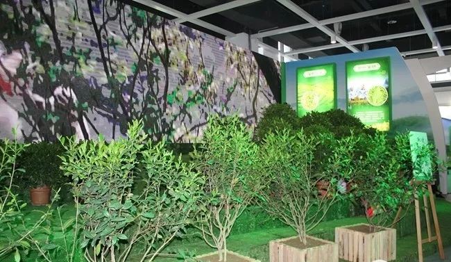 陕西特色农产产品有什么_陕西特色农业产品有哪些_陕西特色农产品