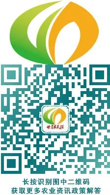 甘肃天水农业_天水农副产品_甘肃天水农产品