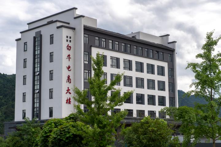 农村电商问卷调查_农产品电商调查问卷_农村电商问卷调查报告的总结