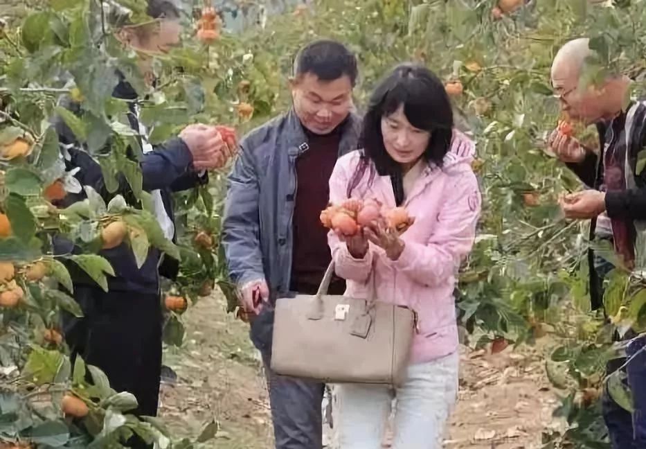 农民产品滞销案例_滞销农产品的营销方案_农产品滞销的案例