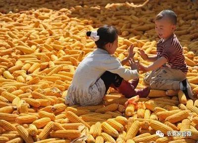 供求农产品信息发布网_农业供求网下载安装_农业供求信息发布