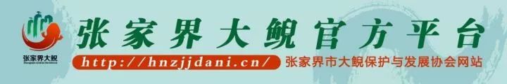 农产品推介会讲话_推介讲话农产品会议纪要_农产品推介发言