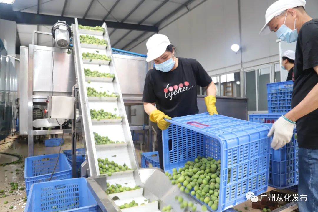 销售贴牌产品违法吗_农产品贴牌销售_农产品贴牌是什么意思