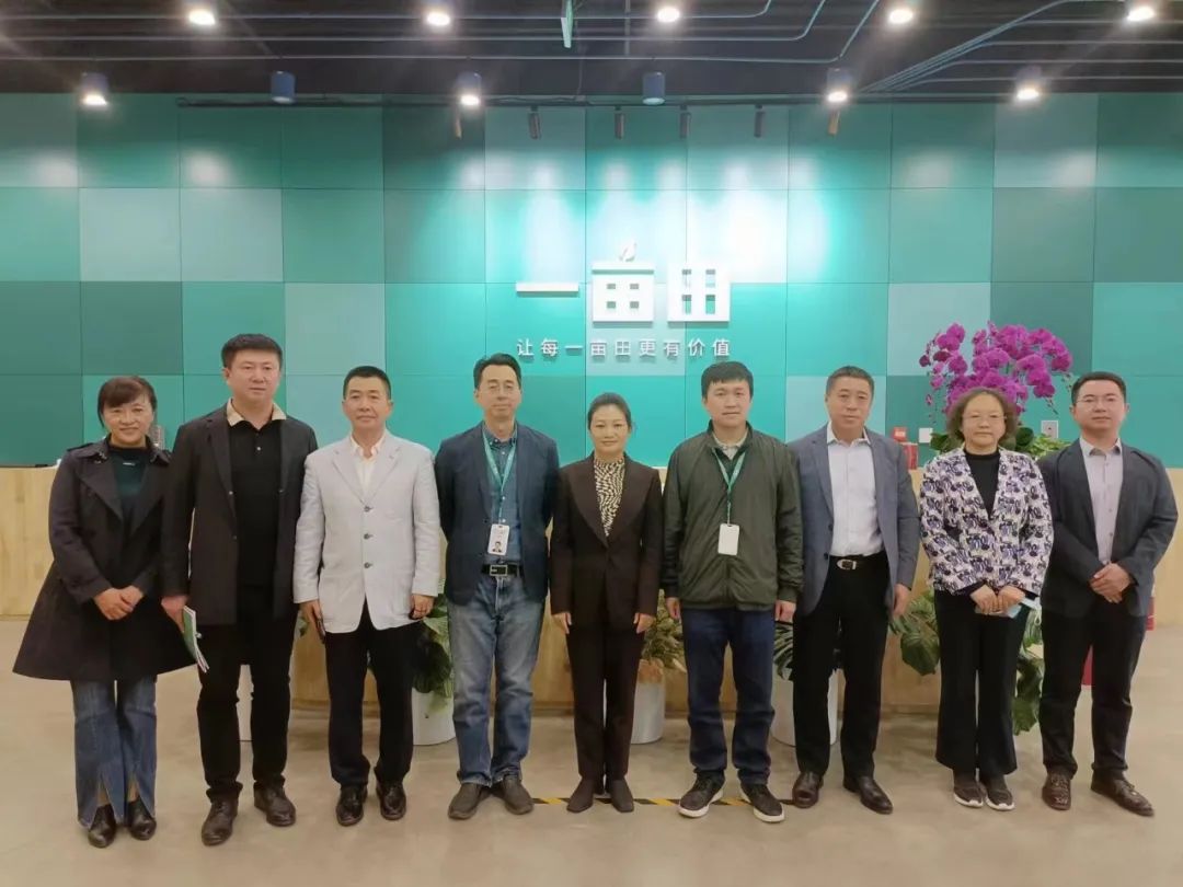 农线交易产品上市企业_农产品交易k线图工作能干吗_农产品线上交易