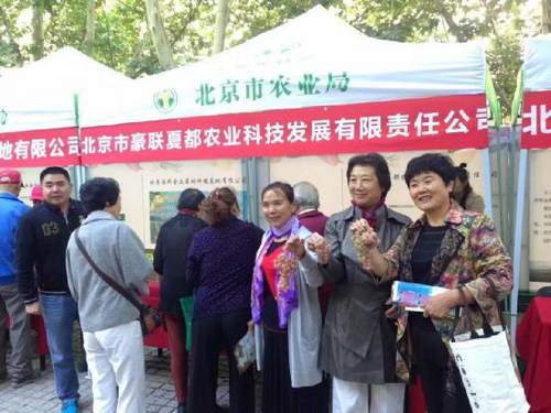 精品村是什么意思_精品示范村什么意思_全国优质农产品精品馆