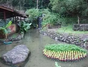 推广家乡的农产品教案_推广家乡农产品活动方案_家乡农产品宣传画