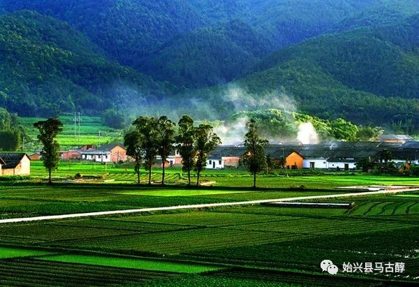 初级农产品怎么上架淘宝_淘宝初级农产品范围_淘宝初级农产品要求
