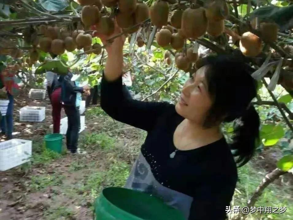 家里农产品怎么网上卖_网上卖农产品有哪些平台_农户网上卖农产品