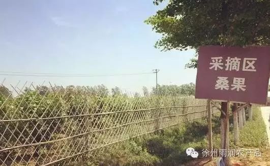徐州雨润农产品全球采购中心_徐州雨润农副产品_徐州雨润新城农产品
