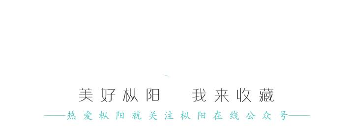 天猫双11全球狂欢节枞阳站盛大开启，白荡湖生态渔业邀您共襄盛举