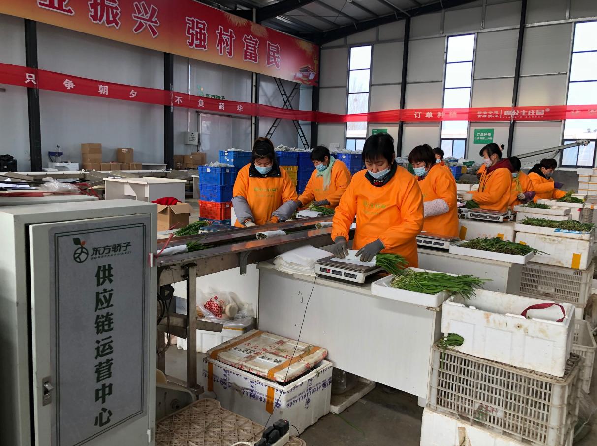 农产品流通_农产品流通领域_新零售下的农产品流通