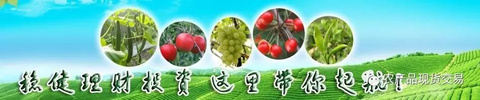 农网项目_农产品现货网_农网价格行情