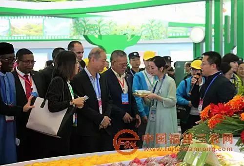 福建特色农副产品_福建省特色农产品_福建特色农产品