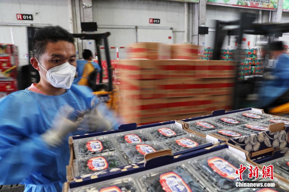 上海农产品市场中心批发市场_上海农产品中心批发市场价格_上海农产品中心批发市场