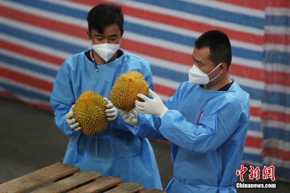 上海农产品中心批发市场价格_上海农产品中心批发市场_上海农产品市场中心批发市场