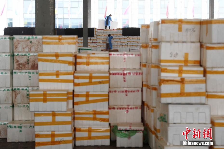 上海农产品市场中心批发市场_上海农产品中心批发市场价格_上海农产品中心批发市场