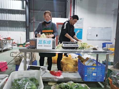 沈阳农产品行业网_苏州农产品平价直销网_苏州农产品价格信息网