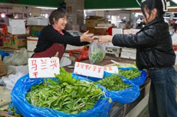 南京春菜季来临：市民热衷野菜，香椿头价格大幅下降