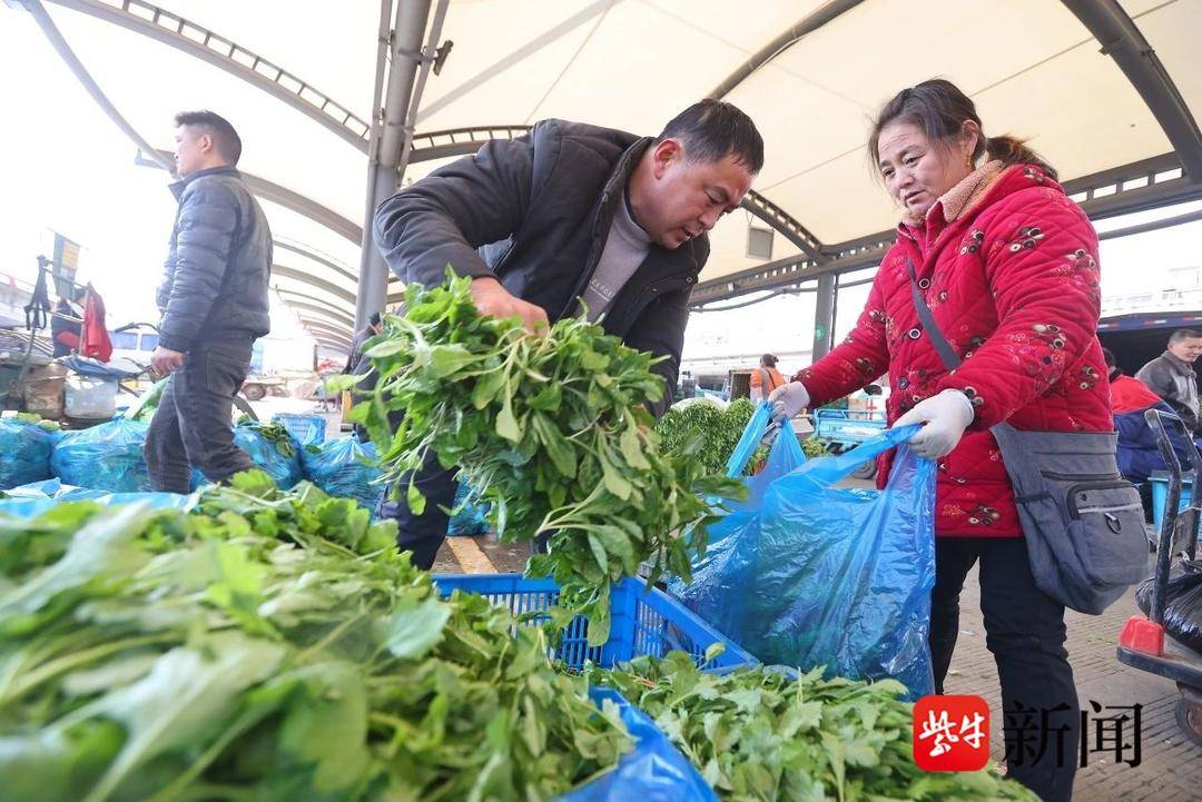 南京农产品交易网_南京农产品_南京农产品交易中心