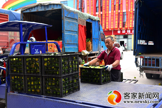 中国供销•赣州国际农产品交易中心盛大开业，果蔬市场热闹非凡