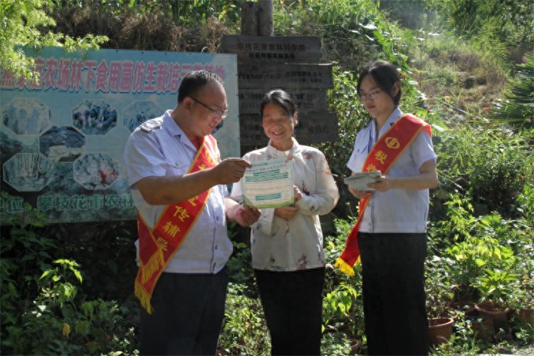 攀枝花市松露丰收季：税收助力小菌子茁壮成长，智税助农促共富