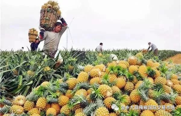 难农是词吗_农产品卖难图片_难农什么意思