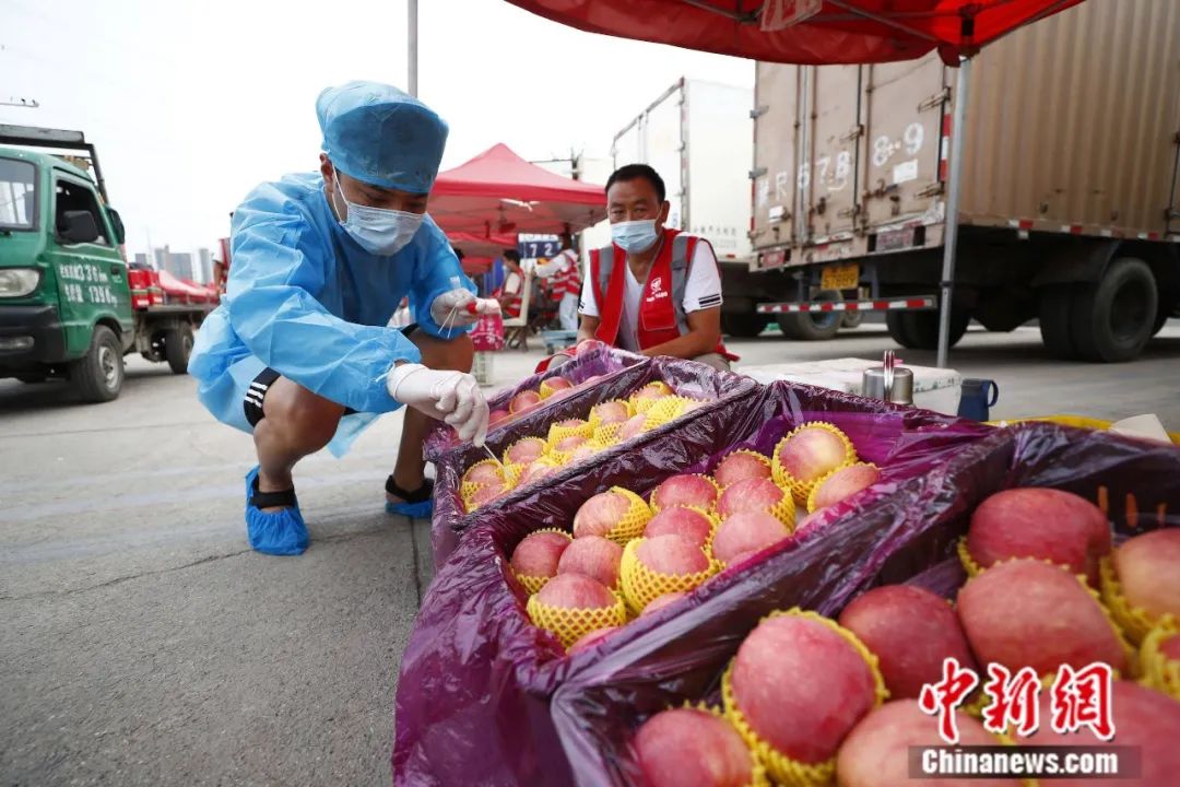 中国农产品出口_中国农产品出口市场结构_中国农产品出口市场