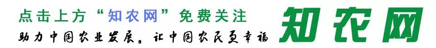 难农什么意思_难农卖图片产品怎么做_农产品卖难图片