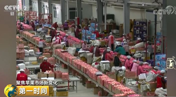 中国农产品出口市场_我国农产品出口市场_中国农产品出口市场结构