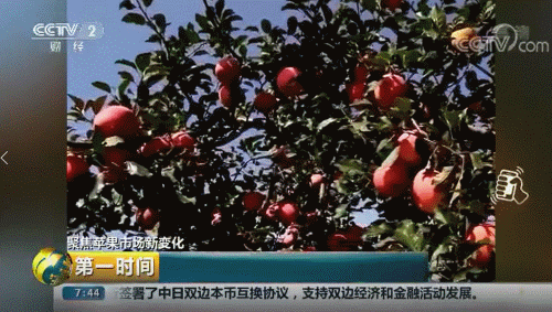 我国农产品出口市场_中国农产品出口市场_中国农产品出口市场结构