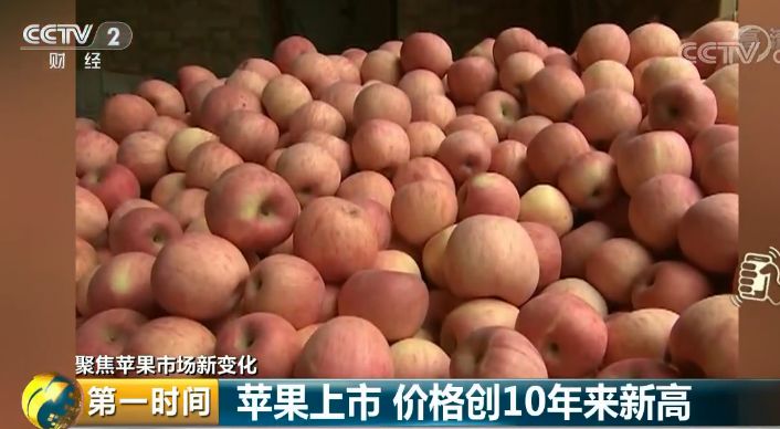 中国农产品出口市场结构_中国农产品出口市场_我国农产品出口市场