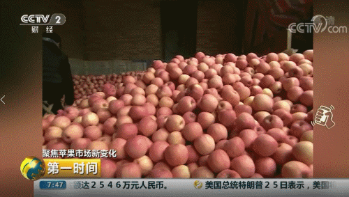 中国农产品出口市场_中国农产品出口市场结构_我国农产品出口市场