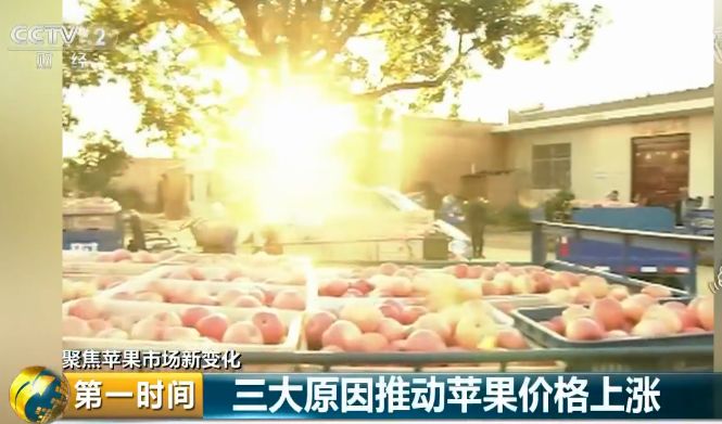 中国农产品出口市场_中国农产品出口市场结构_我国农产品出口市场