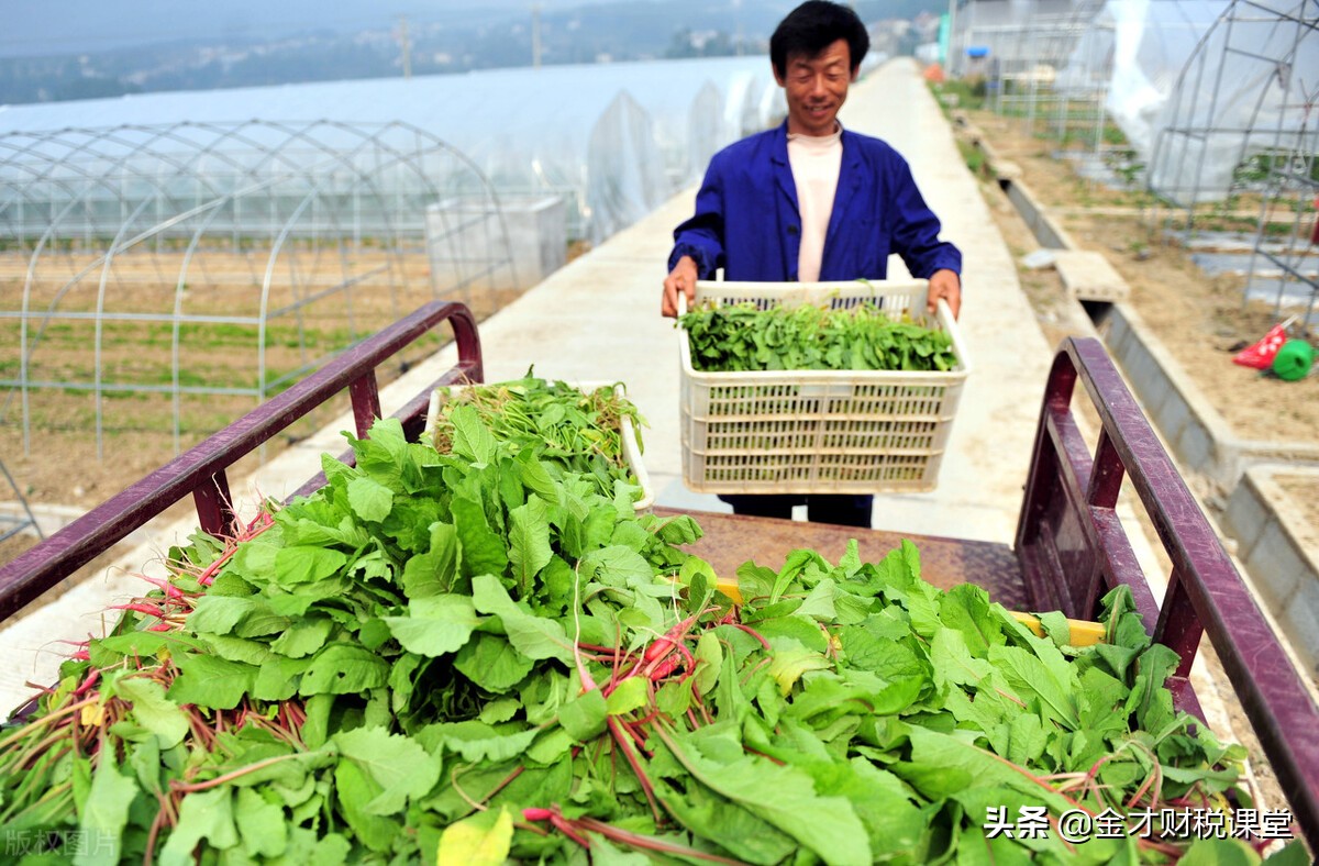 深入解析农产品抵扣政策及其特殊性，助你轻松理解税收规定
