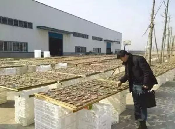 淘宝卖农产品赚钱吗_淘宝开店卖农产品_淘宝上卖农产品赚钱吗