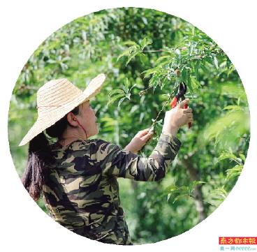 生态农副产品_生态农产品_生态农业产品