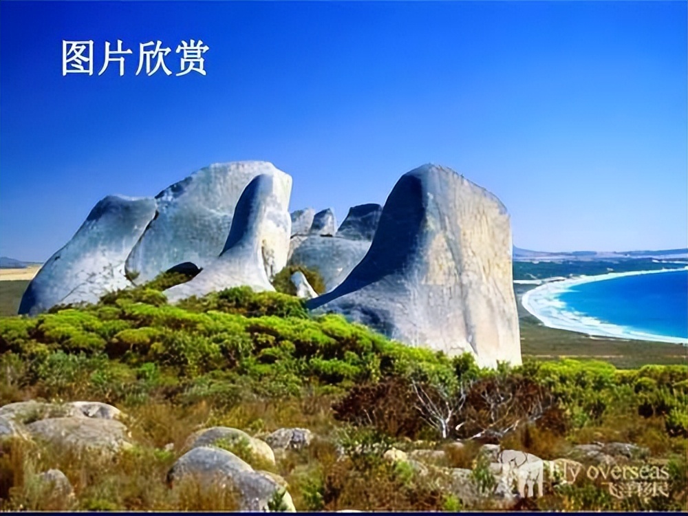 达令盆地混合农业的区位条件_墨累达令盆地农产品_达令盆地农业地域类型