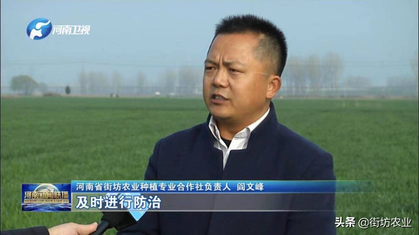 农产品公司发展规划_农业发展有限公司规划书_农业规划公司