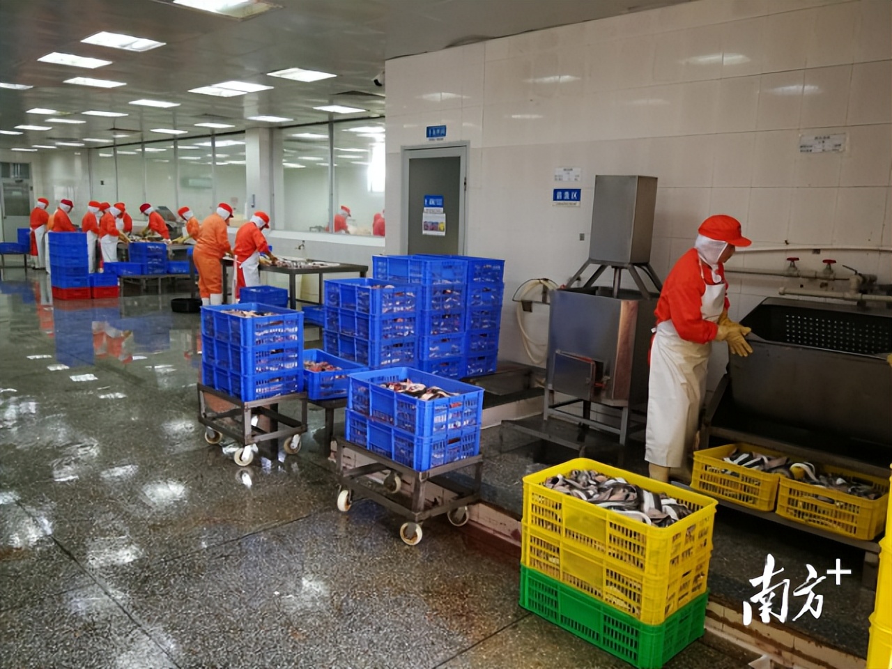 农业规划设计公司主要经营范围_农产品公司发展规划_农业发展公司规划发展计划书