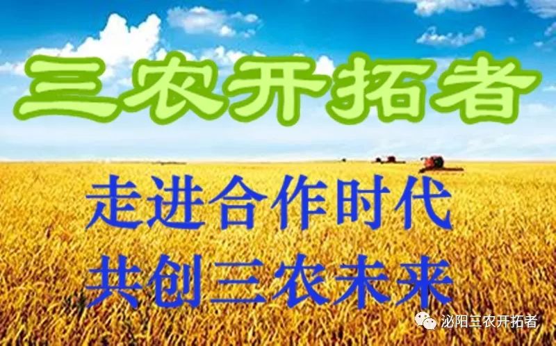 台湾农产品_台湾农产品_台湾农产品分布图