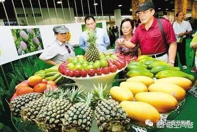 台湾农产品_台湾农产品分布图_台湾农产品