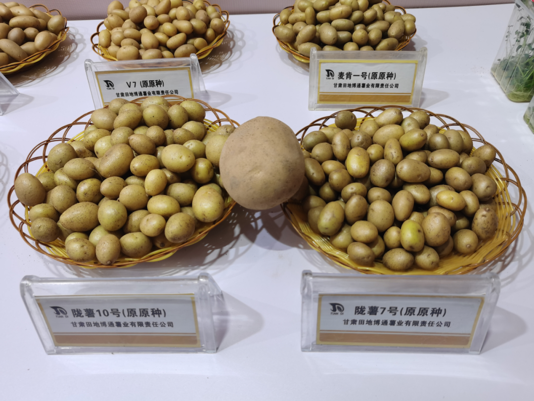 内蒙古农产品交易市场_内蒙古农产品交易中心_内蒙古农副产品销售网