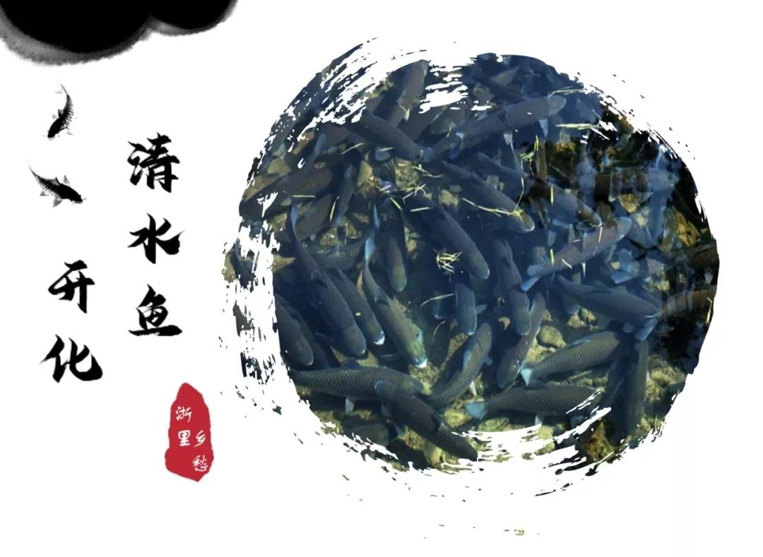 浙江特色农产品_浙江特色农业_浙江特色农产品有什么